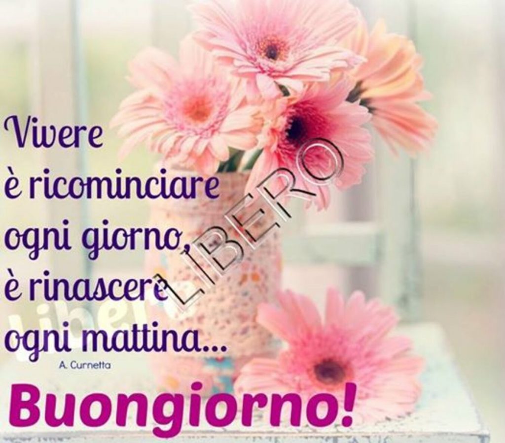 Vivere è ricominciare ogni giorno è rinascere ogni mattina...Buongiorno!