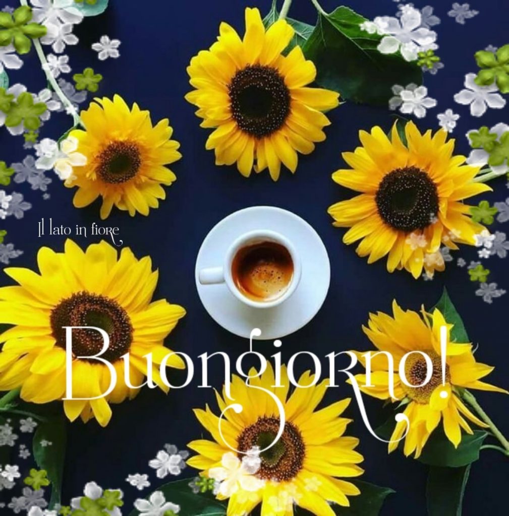 Buongiorno!