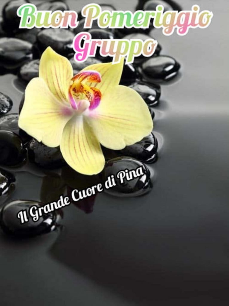 Buon pomeriggio gruppo