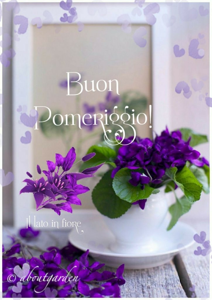 Sereno Pomeriggio! (Il lato in fiore)