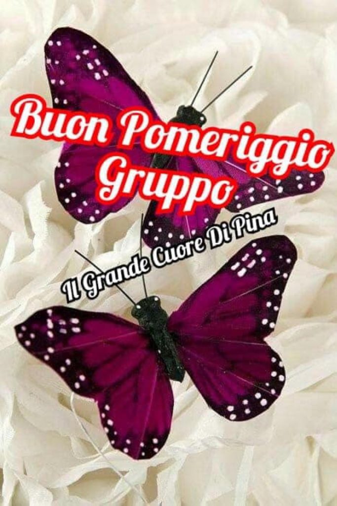 Buon Pomeriggio gruppo (Il grande cuore di Pina)