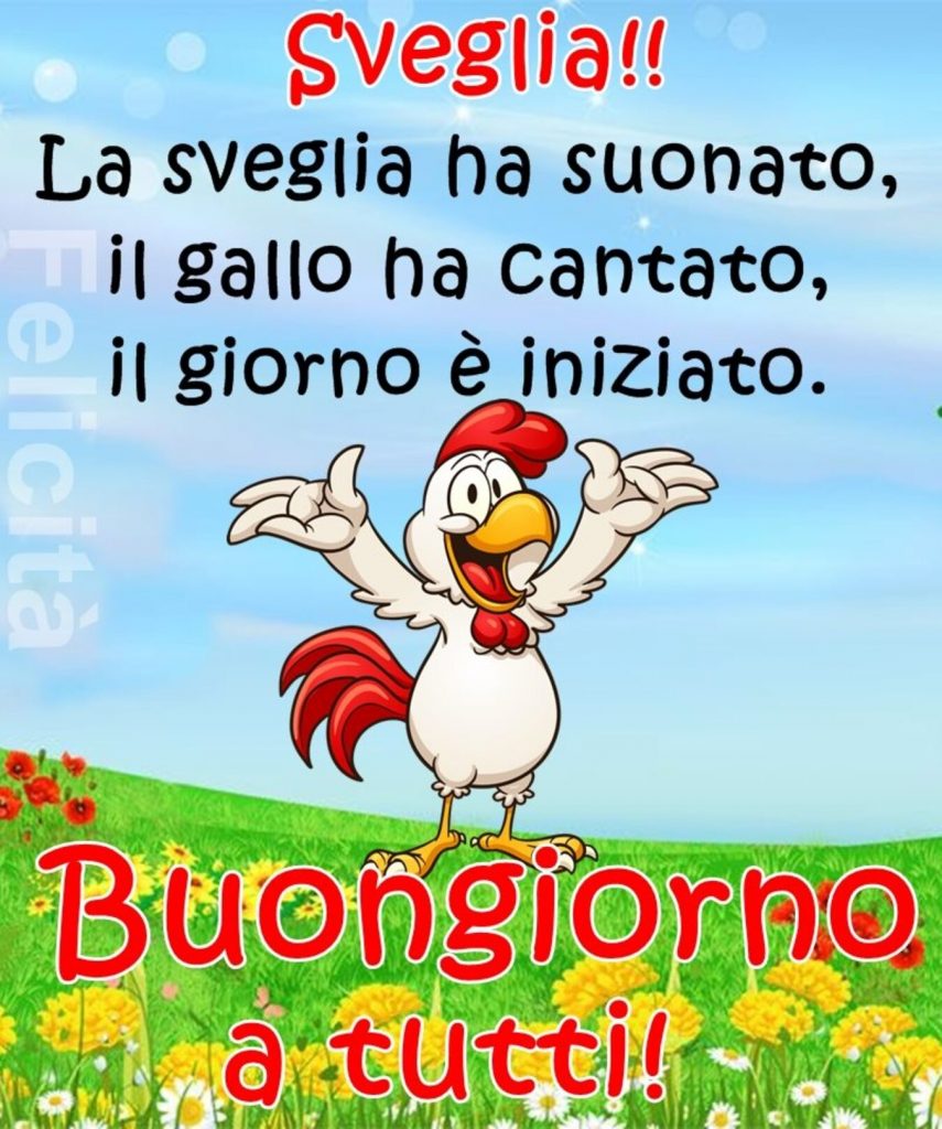 Sveglia!! La sveglia ha suonato, il gallo ha cantato, il giorno è iniziato. Buongiorno a tutti!