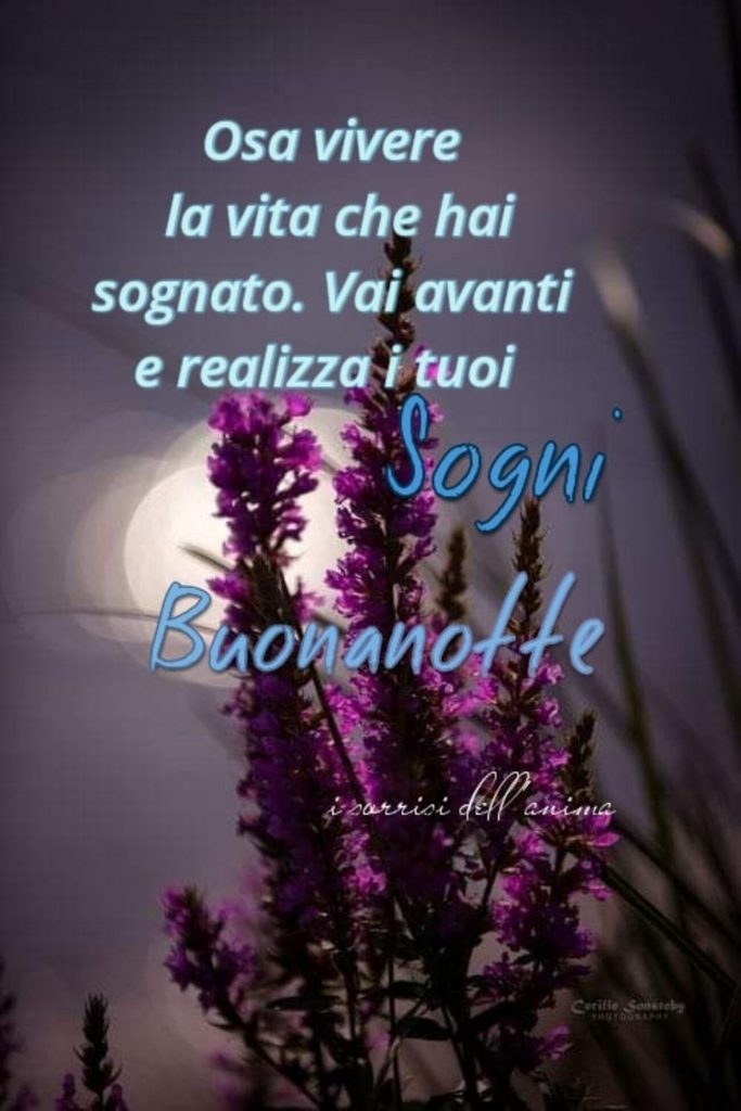 Osa vivere la vita che hai sognato. Vai avanti e realizza i tuoi sogni. Buonanotte