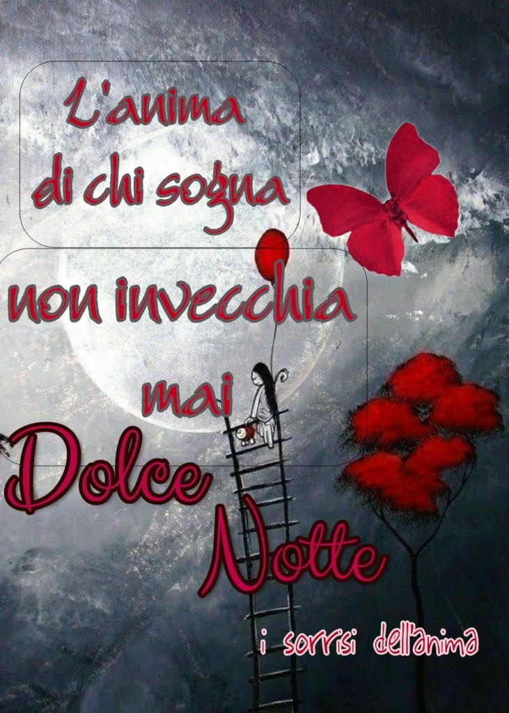 L'anima di chi sogna non invecchia mai. Dolce notte