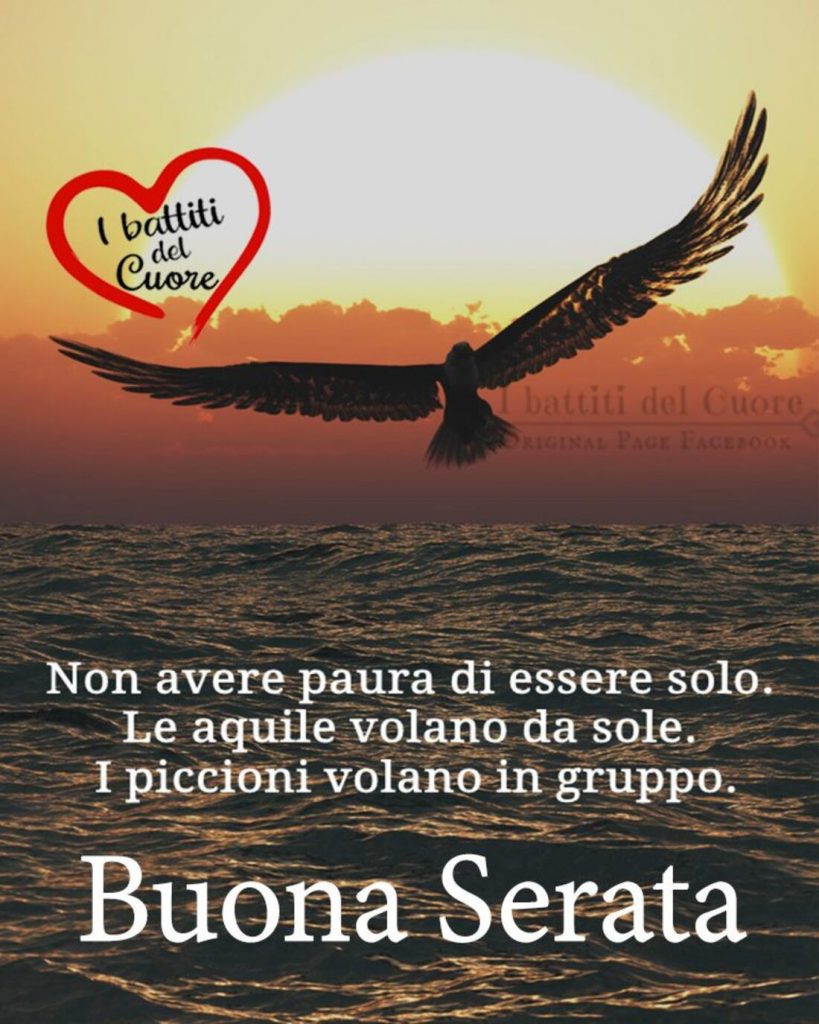 Non avere paura di essere solo. Le aquile volano da sole. I piccioni volano in gruppo. Buona Serata