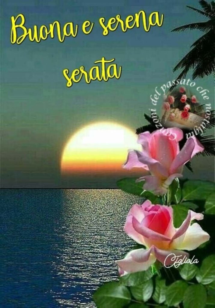 Buona e serena serata