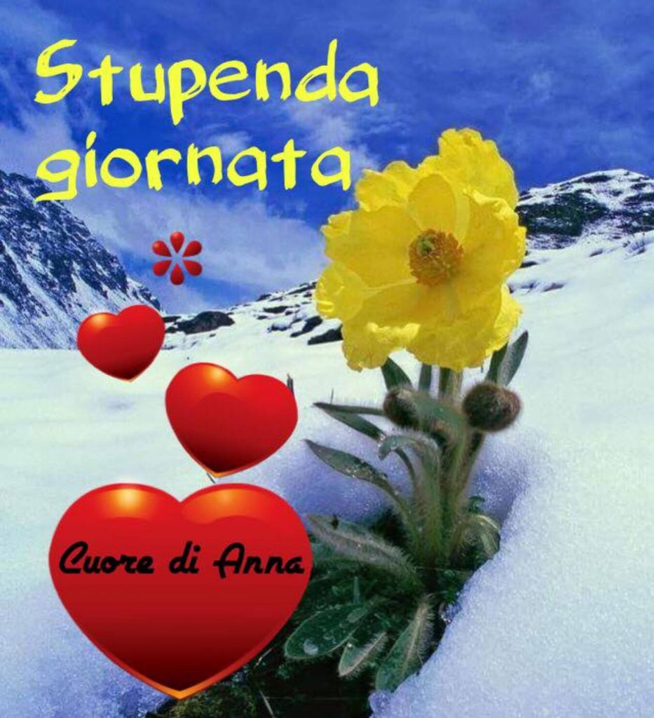 Stupenda Giornata (Cuore di Anna)