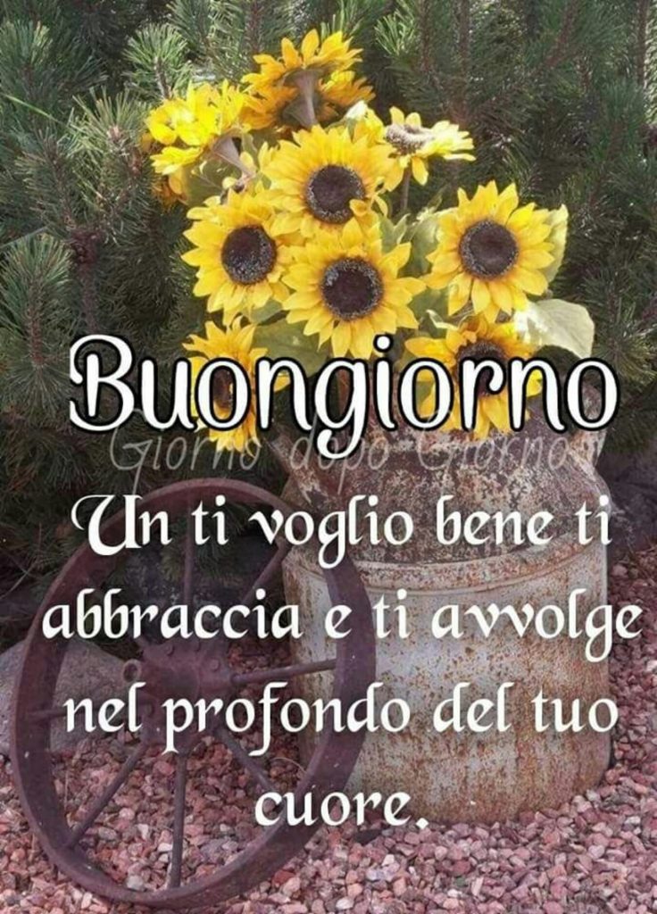 Buongiorno. Un ti voglio bene ti abbraccia e ti avvolge nel profondo del tuo cuore. (Giorno dopo Giorno)