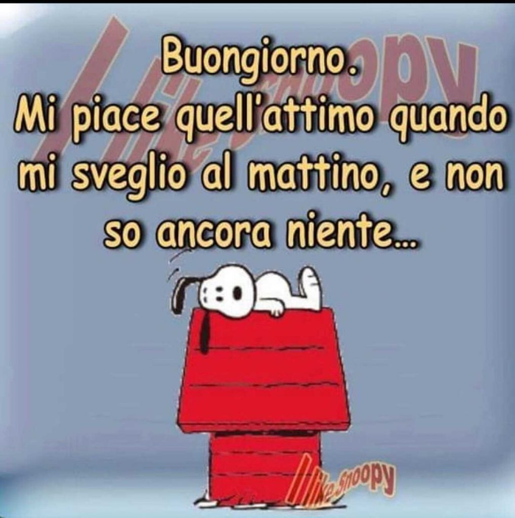 Buongiorno. Mi piace quell'attimo quando mi sveglio al mattino, e non so ancora niente... (Snoopy)