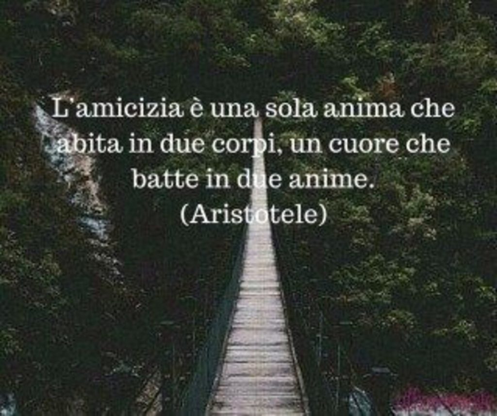 L'amicizia è una sola anima che abita in due corpi, un cuore che batte in due anime. (Aristotele)