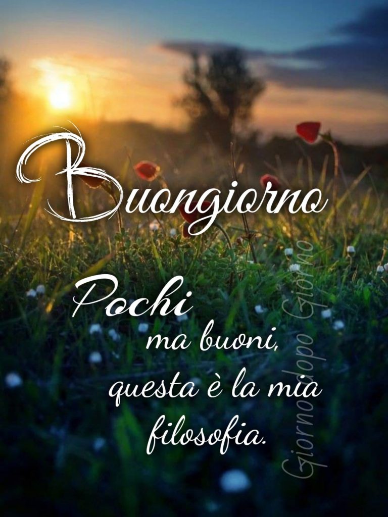 Buongiorno Pochi ma buoni, questa è la mia filosofia