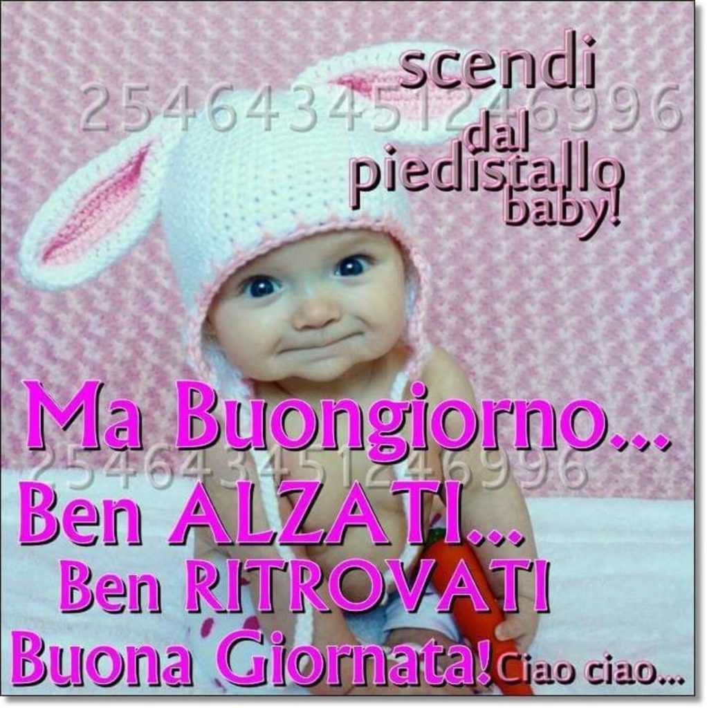 Ma buongiorno...Ben alzati...Ben ritrovati! Buona Giornata!