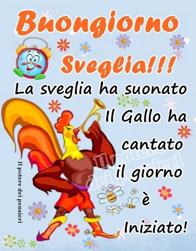 Buongiorno Sveglia!!! La sveglia ha suonato, il gallo ha cantato, il giorno è iniziato!