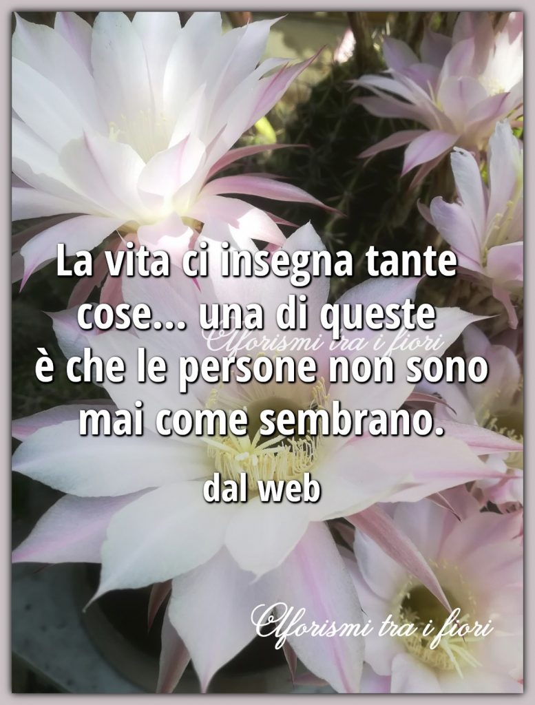 La vita ci insegna tante cose... una di quelle è che le persone non sono mai come sembrano