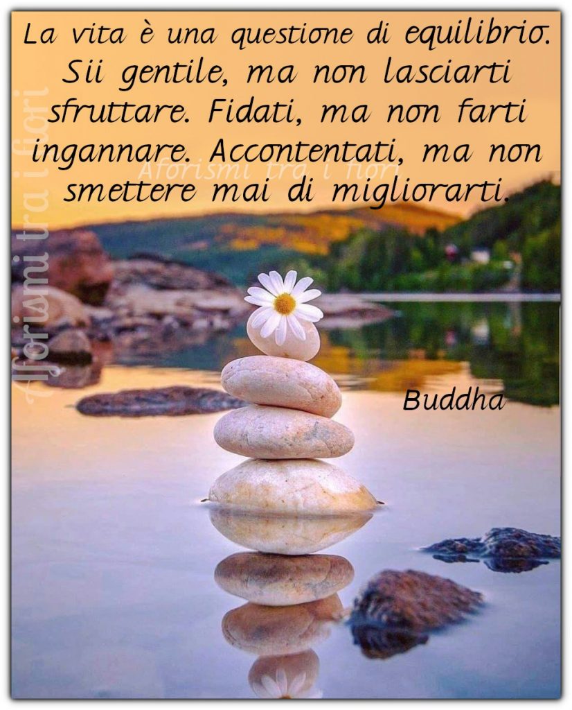 La vita è una questione di equilibrio. Sii gentile, ma non lasciarti sfruttare. Fidati, ma non farti ingannare. Accontentati, ma non smettere mai di migliorarti