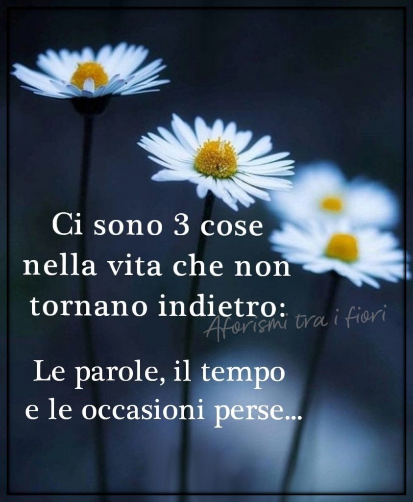 Ci sono 3 cose nella vita che non tornano indietro: Le parole, il tempo e le occasioni perse...