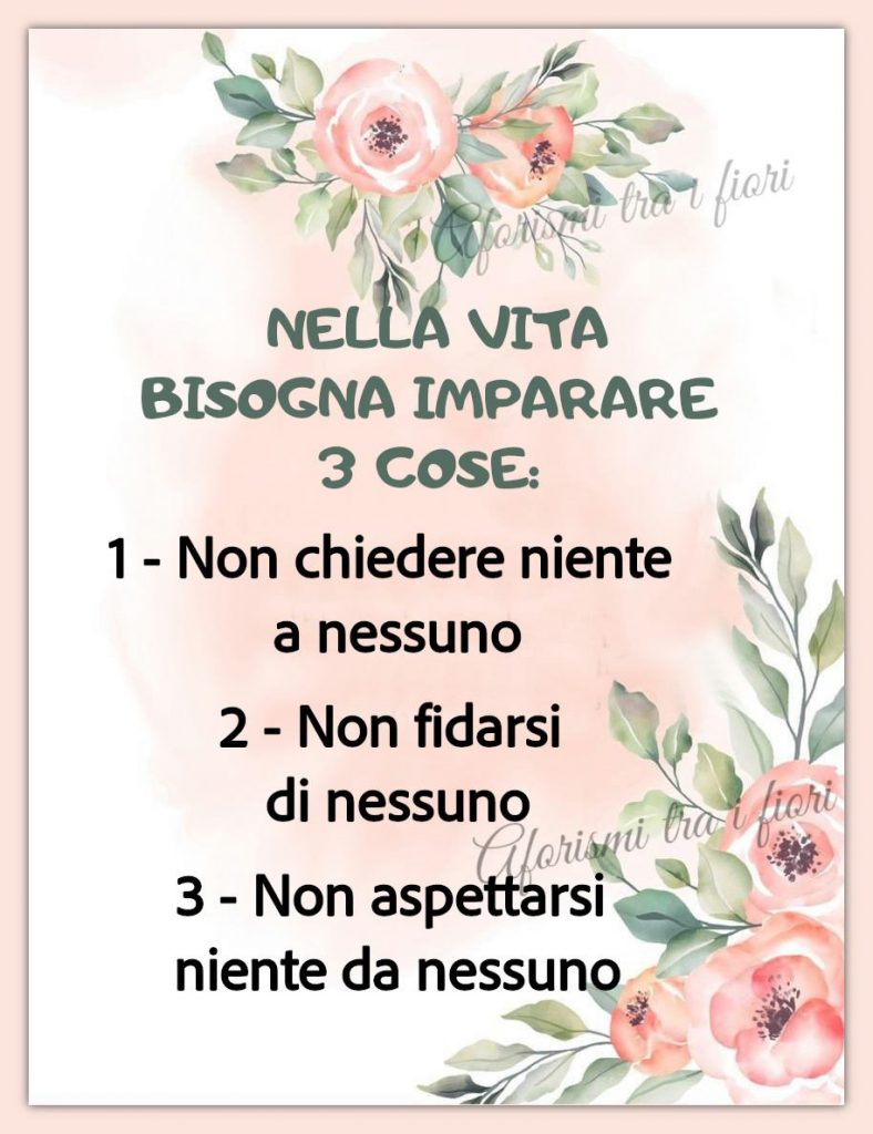 Nella vita bisogna imparare 3 cose: 1 - Non chiedere niente a nessuno 2 - Non fidarsi di nessuno 3 - Non aspettarsi niente da nessuno