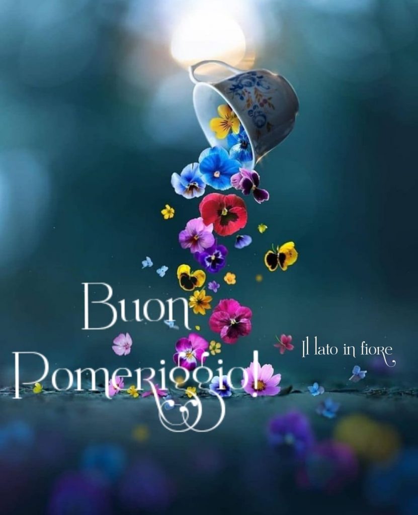 Buon pomeriggio (Il lato in fiore)