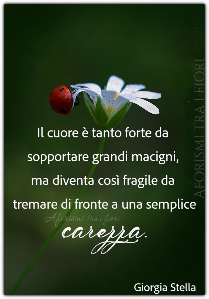 Il cuore è tanto forte da sopportare grandi macigni, ma diventa così fragile da tremare di fronte a una semplice carezza