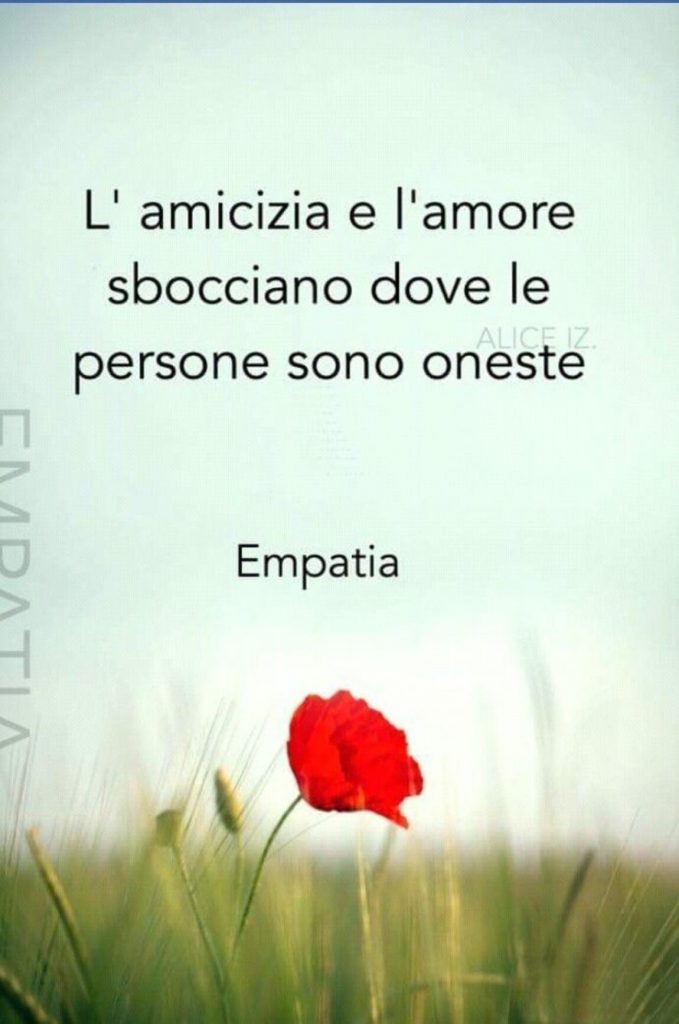 L'amicizia e l'amore sbocciano dove le persone sono oneste