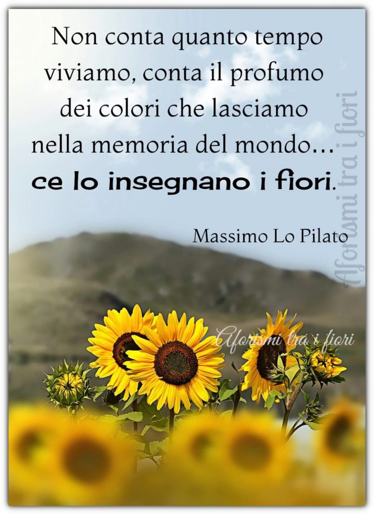 Non conta quanto tempo viviamo, conta il profumo del colori che lasciamo nella memoria del mondo...ce lo insegnano i fiori