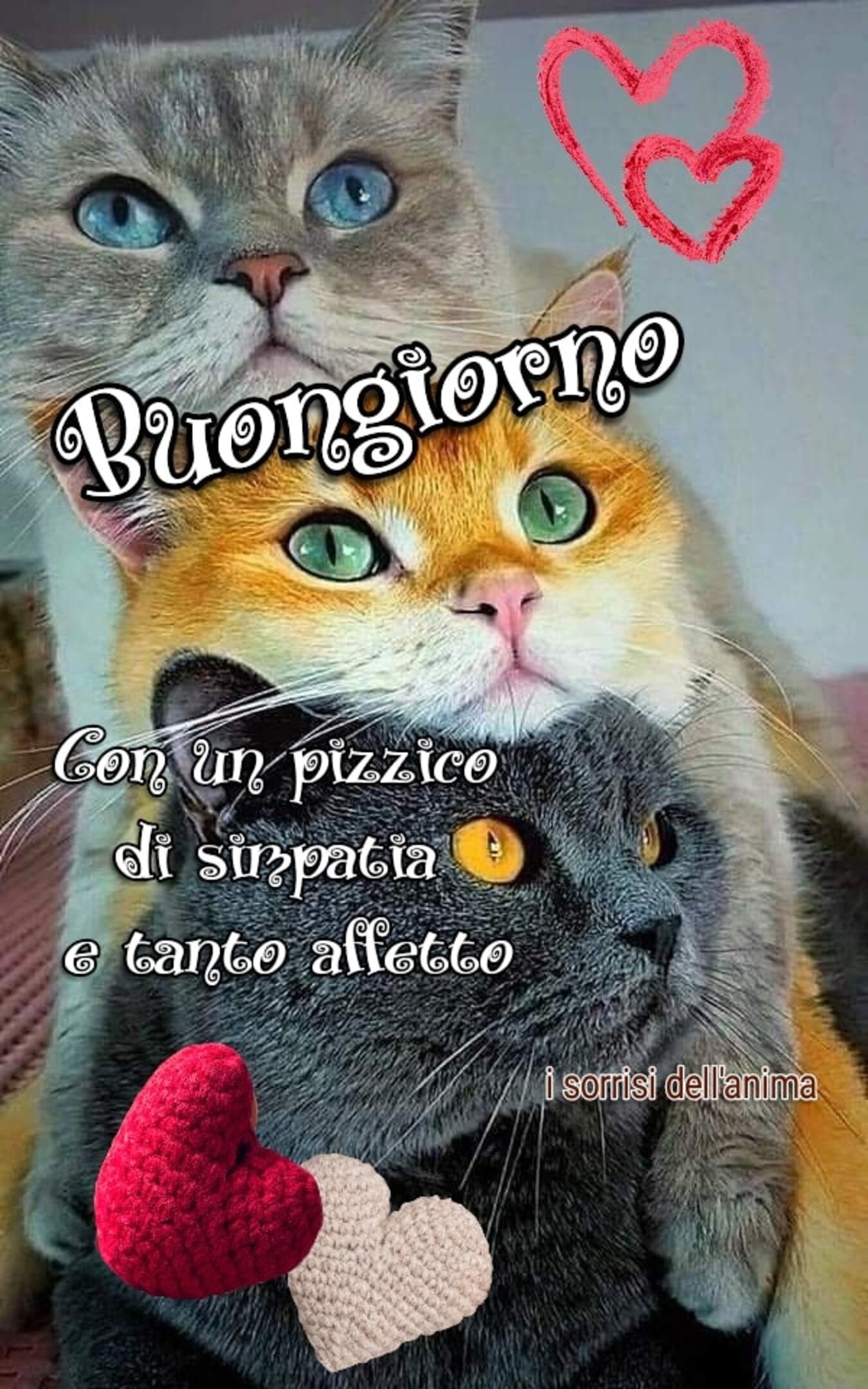 45+ Immagini Buongiorno MeravigliosoBuongiorno.it