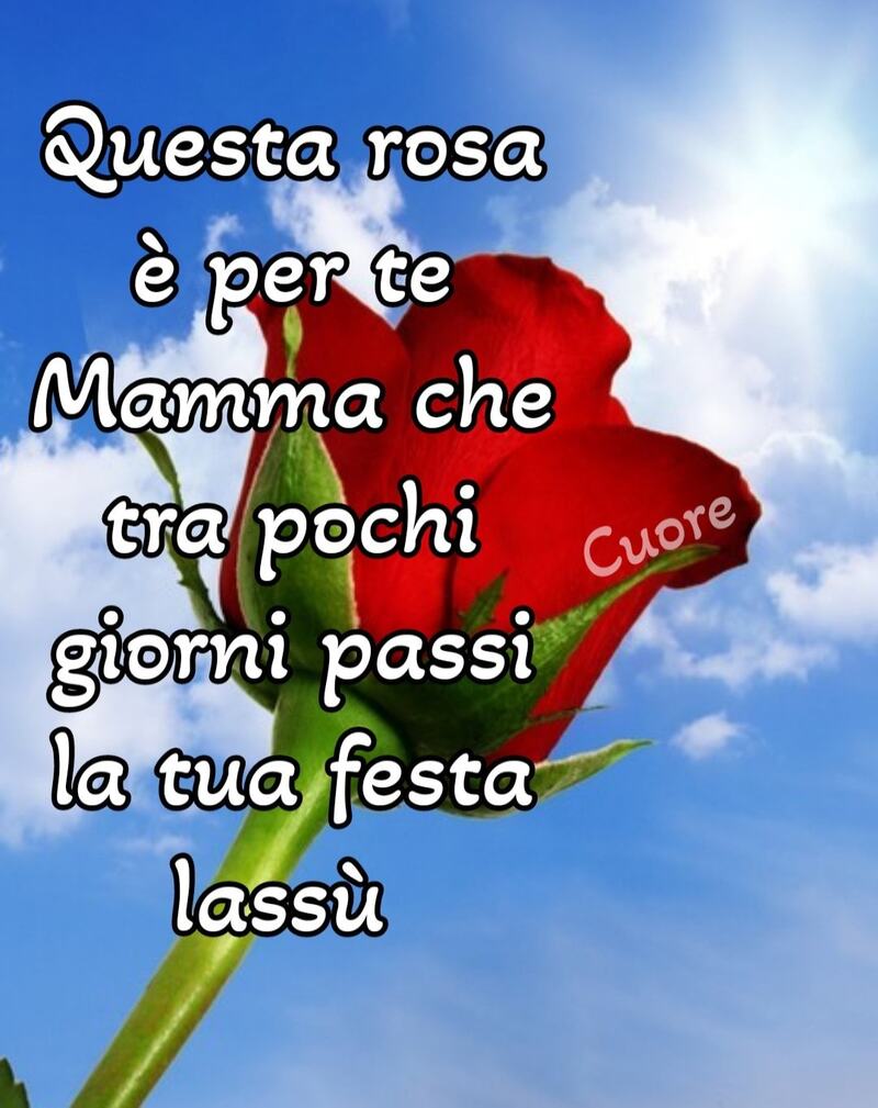 Questa rosa è per te mamma che tra pochi giorni passi la tua festa lassù