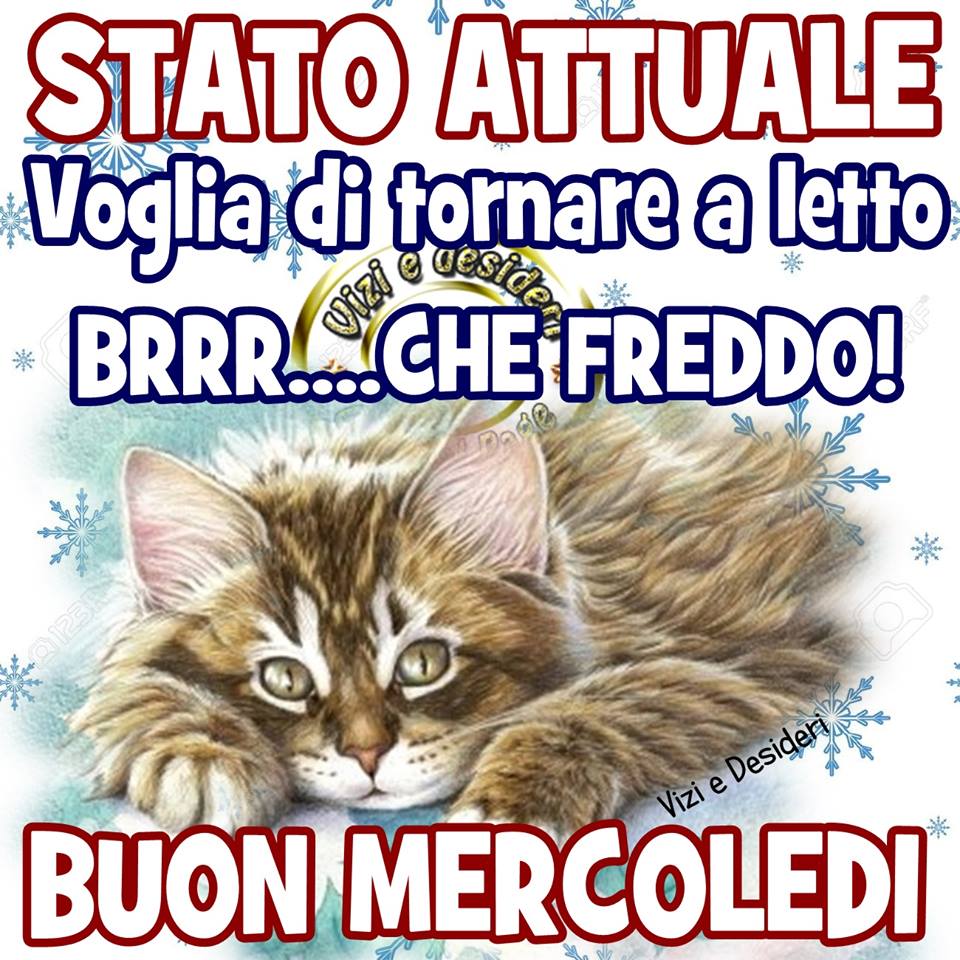 Stato Attuale voglia di tornare a letto brrr...che freddo! Buon mercoledì