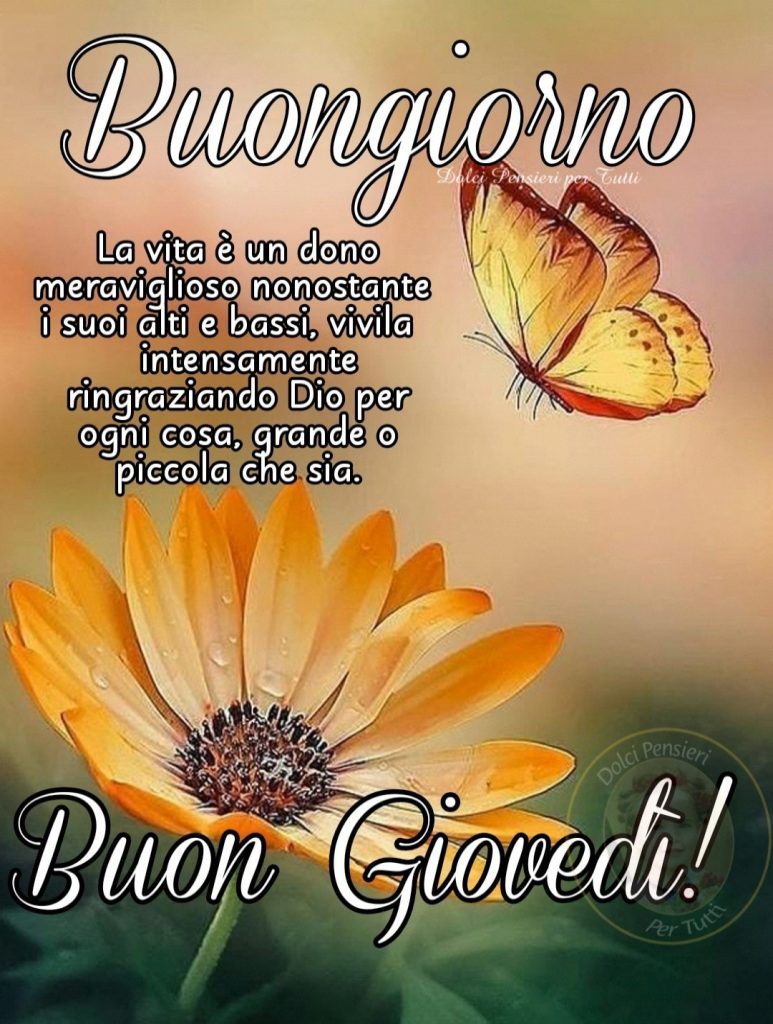 Buongiorno la vita è un dono meraviglioso nonostante i suoi alti e bassi, vivila intensamente ringraziando Dio per ogni cosa, grande o piccola che sia Buon Giovedì!