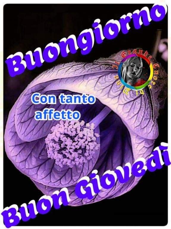 Buongiorno con affetto Buon Giovedì