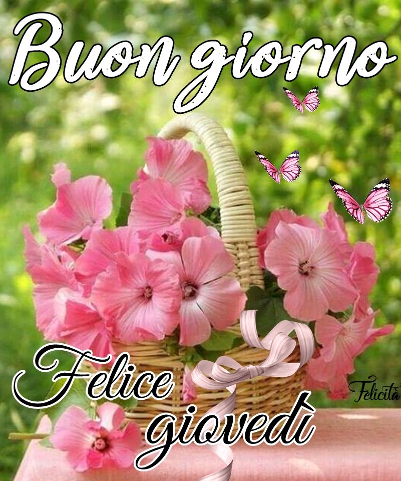 Buongiorno felice giovedì