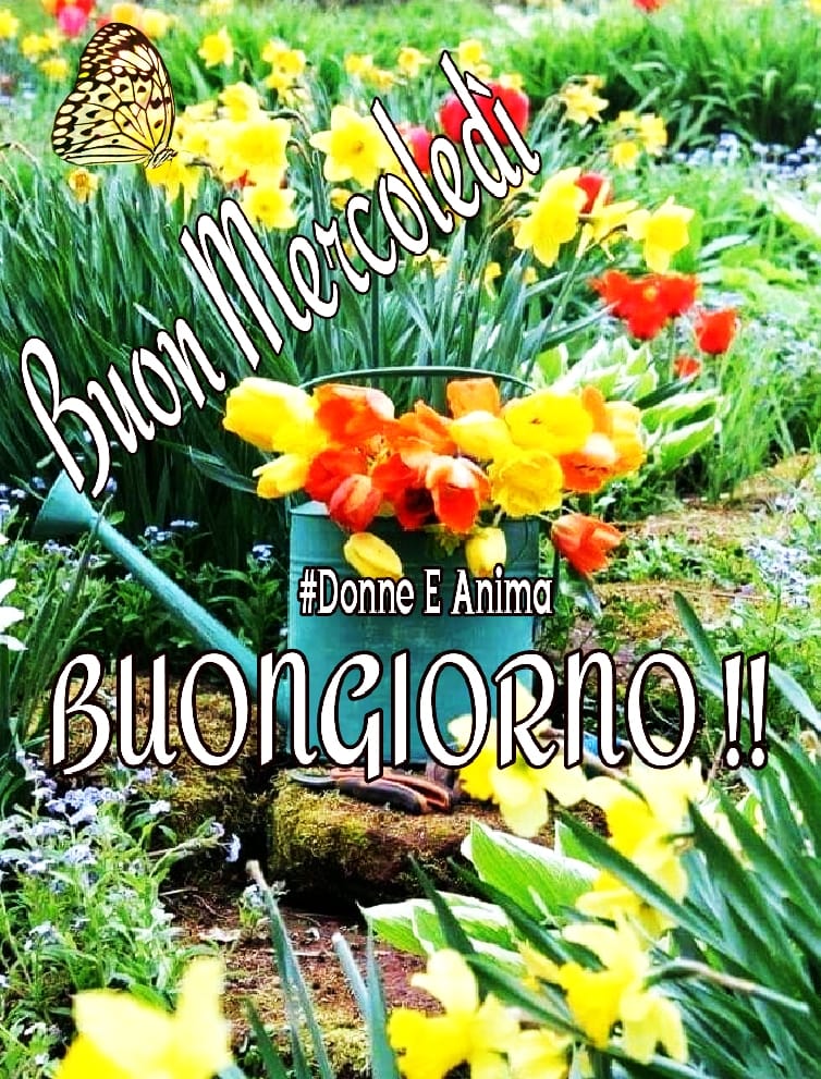 Buon Mercoledì Buongiorno!!