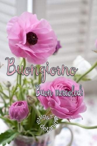 Buongiorno Buon Mercoledì