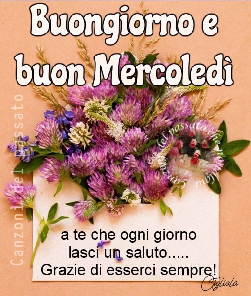 Buongiorno e buon mercoledì a te che ogni giorno lasci un saluto... grazie di esserci sempre!