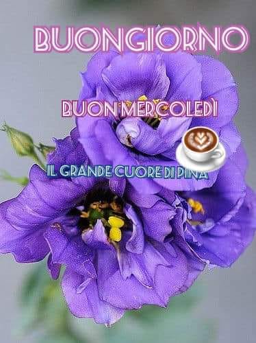 Buongiorno Buon mercoledì (Il grande cuore di Pina)