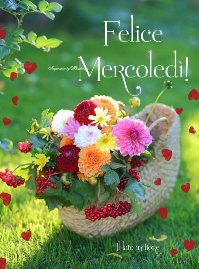 Felice mercoledì (Il lato in fiore)