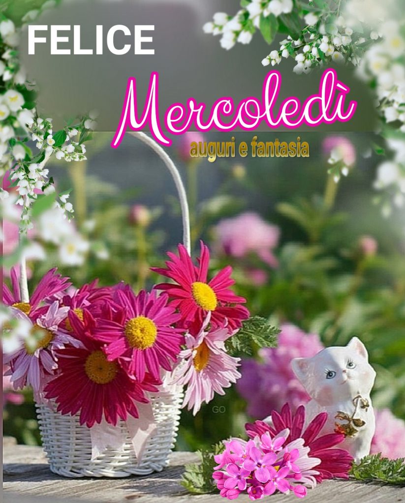 Felice Mercoledì