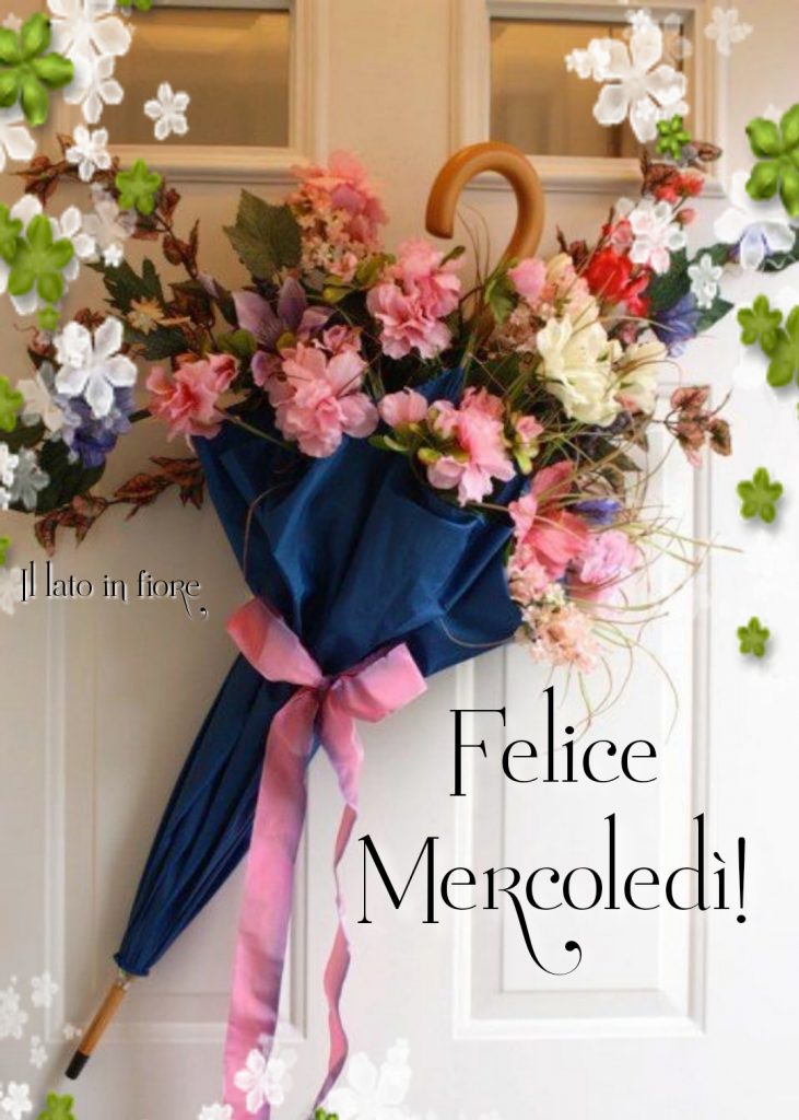 Felice Mercoledì (Il lato in fiore)