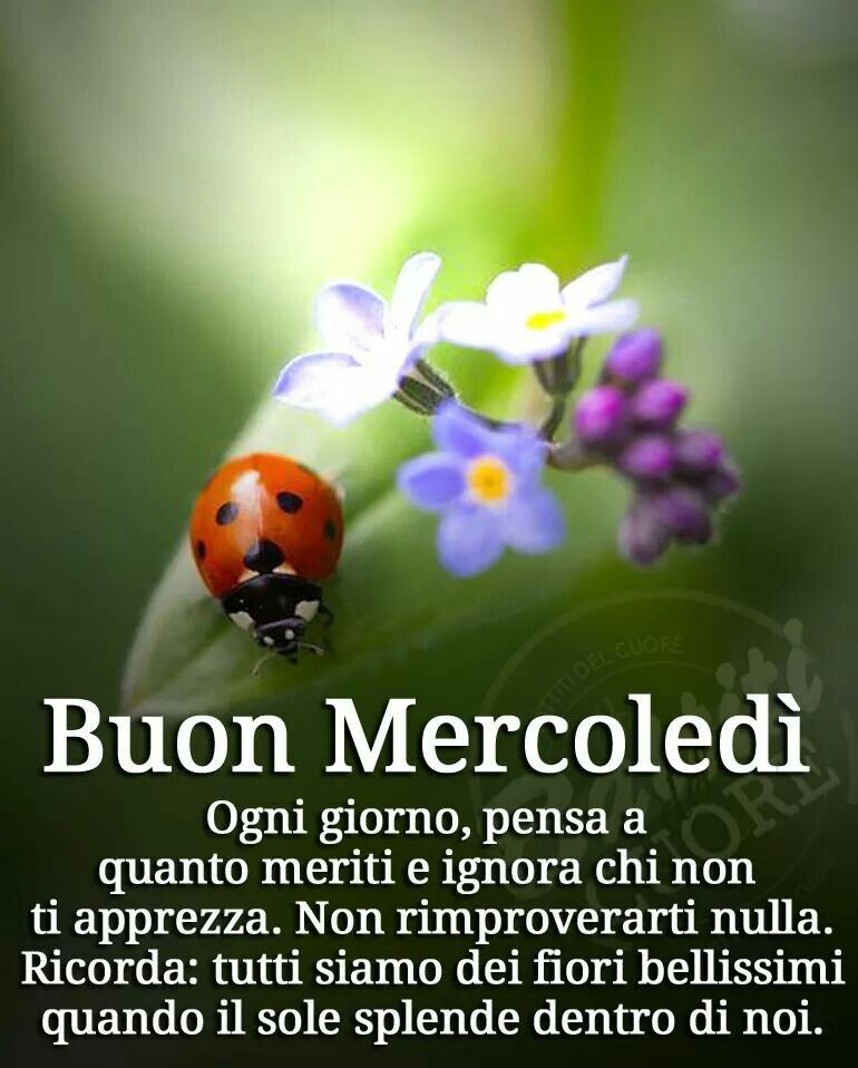 Buon Mercoledì ogni giorno, pensa a quanto meriti e ignora chi non ti apprezza. Non rimproverarti nulla. Ricorda: tutti siamo dei fiori bellissimi quando il sole splende dentro di noi