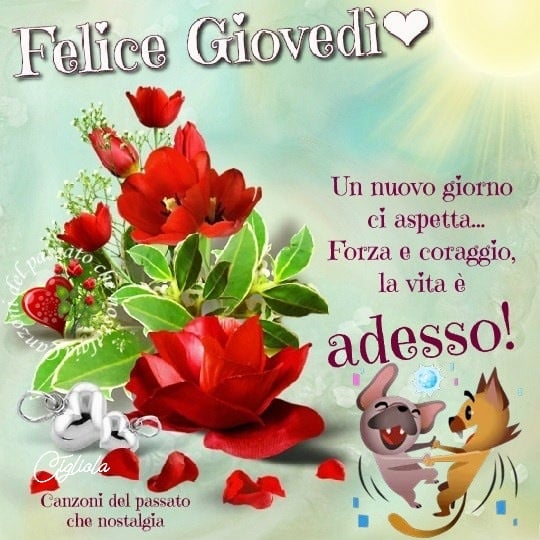 Felice Giovedì un nuovo giorno ci aspetta...Forza e coraggio la vita è adesso!