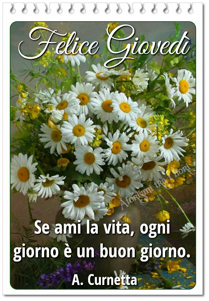 Felice giovedì se ami la vita, ogni giorno è buon giorno