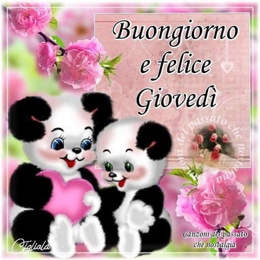 Buongiorno e felice giovedì