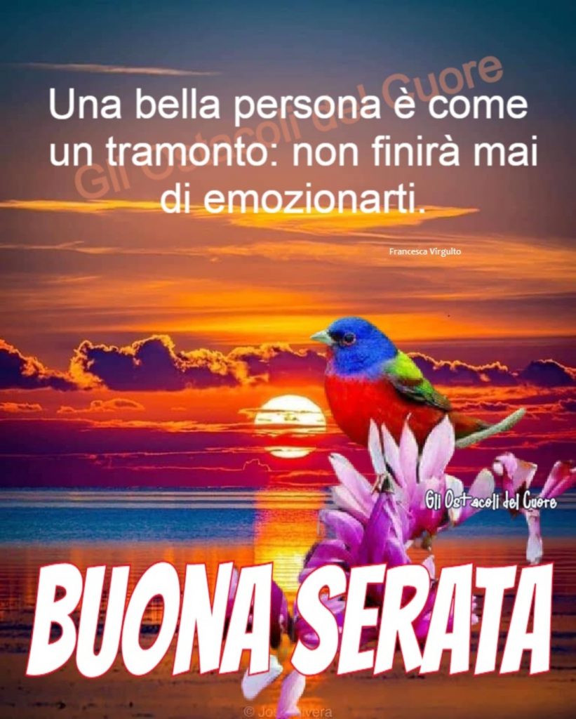 Una bella persona è come un tramonto: non finirà mai di emozionarti. Buona Serata