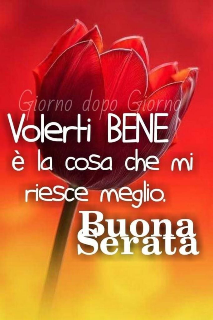 Volerti bene è la cosa che mi riesce meglio. Buona Serata