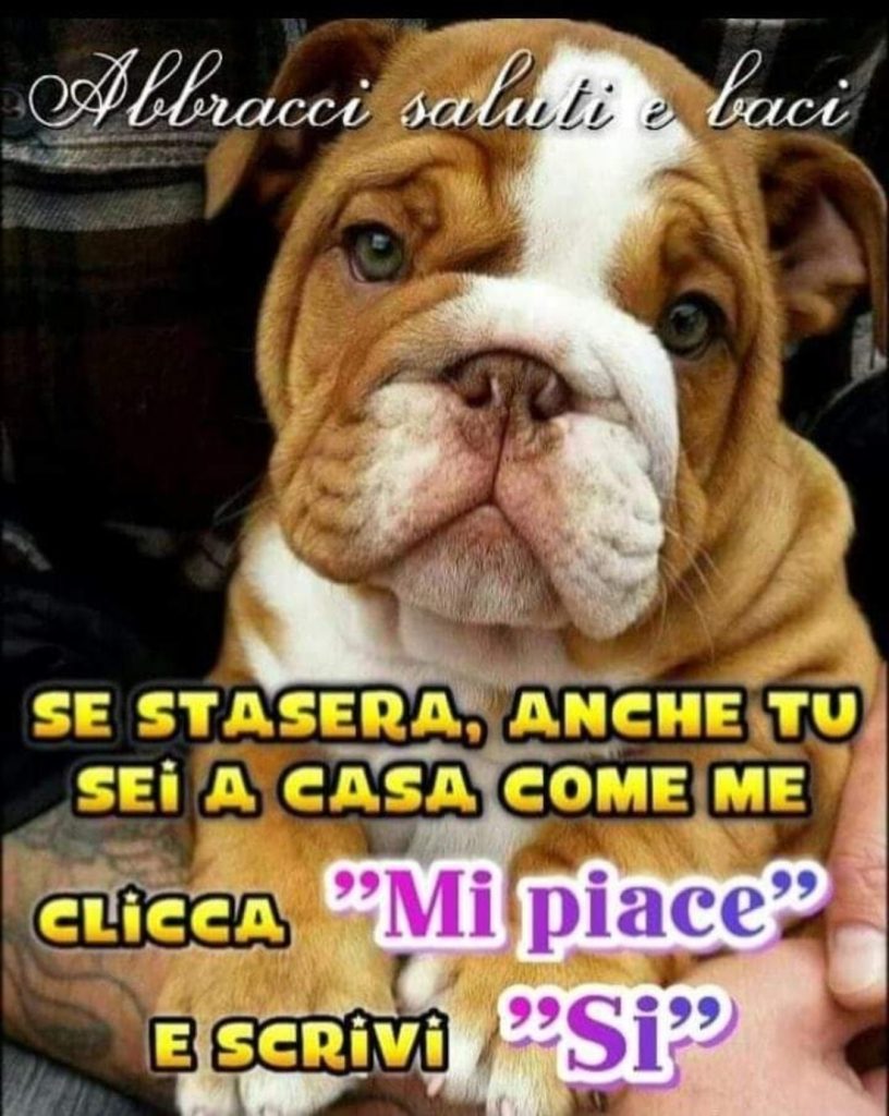 Se stasera, anche tu sei a casa come me clicca "mi piace" e scrivi "si"