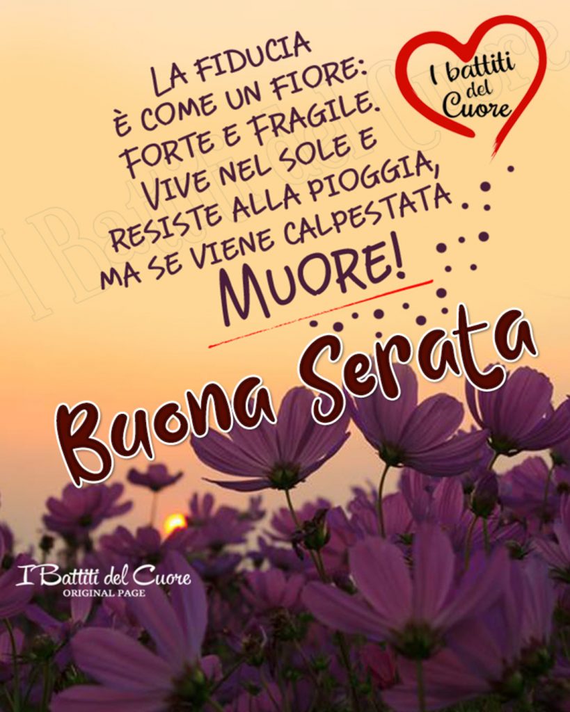 La fiducia è come un fiore: forte e fragile. Vive nel sole e resiste alla pioggia, ma se viene calpestata MUORE! Buona Serata