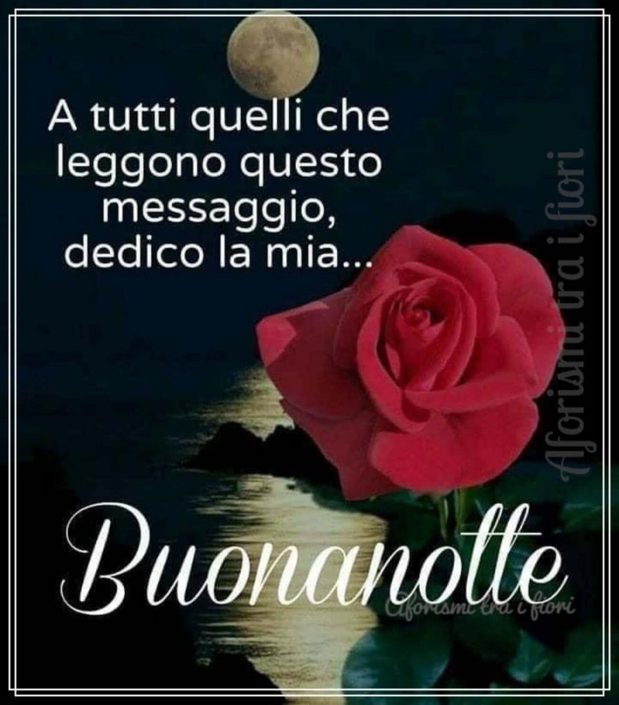 A tutti quelli che leggono questo messaggio, dedico la mia...Buonanotte
