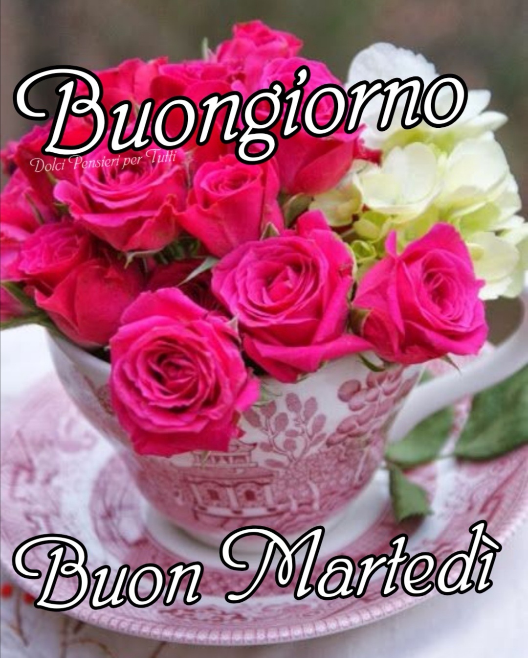 BUONGIORNO FORUM!!!!  Saluti lampo - Pagina 2 Buongiorno-e-buon-martedi-amici-e-amiche-virtuali-41