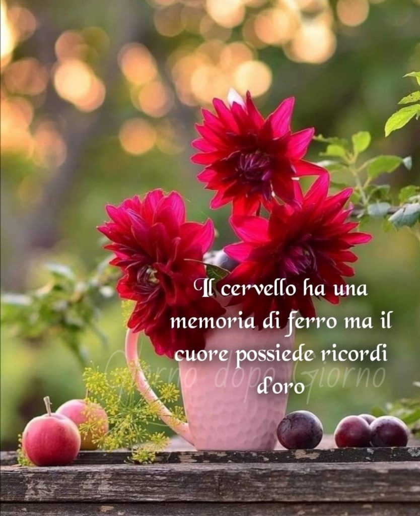 Il cervello ha una memoria di ferro ma il cuore possiede ricordi d'oro