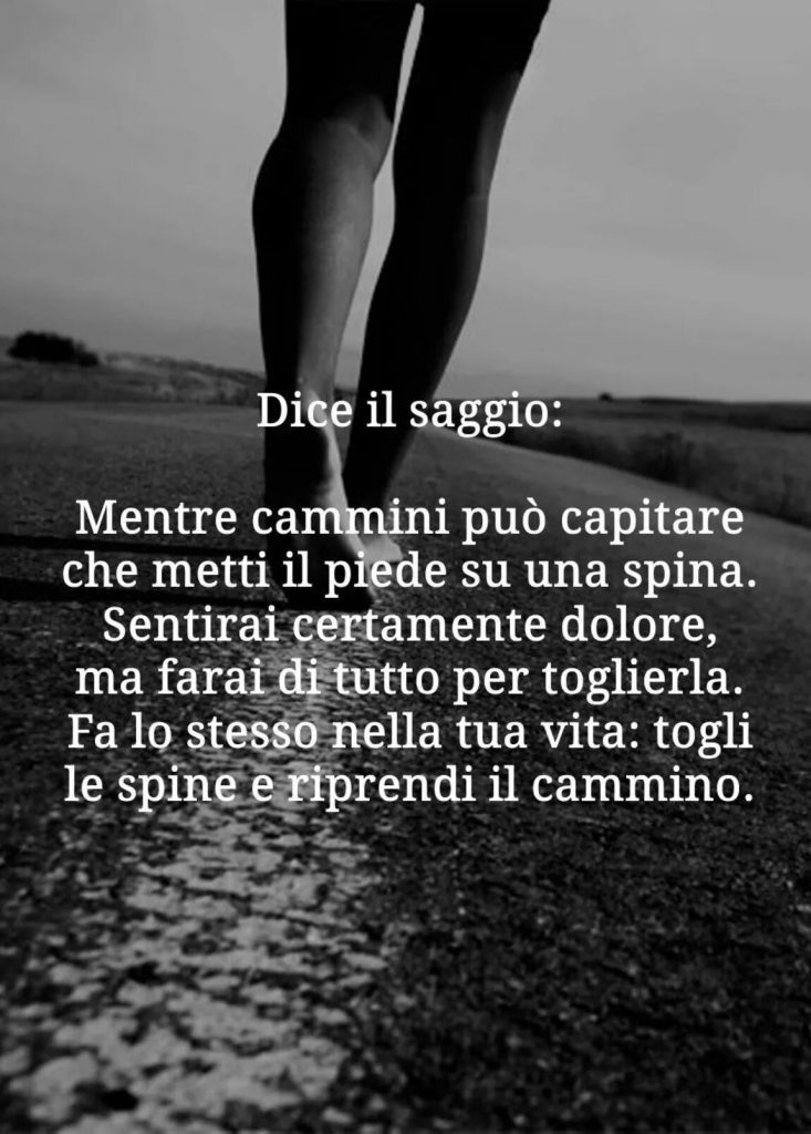 Dice il saggio: Mentre cammini può capitare che metti il piede su una spina. Sentirai certamente dolore...